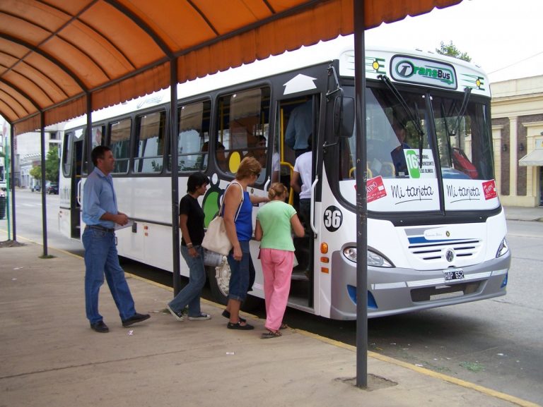 Líneas universitarias retoman recorridos y horarios habituales