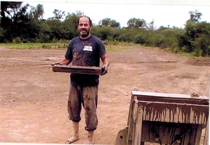 P6 f2 pastor con ladrillos