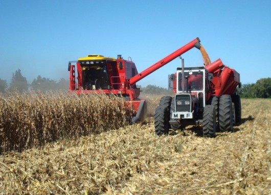 La Provincia registró la mejor cosecha de granos desde 1960