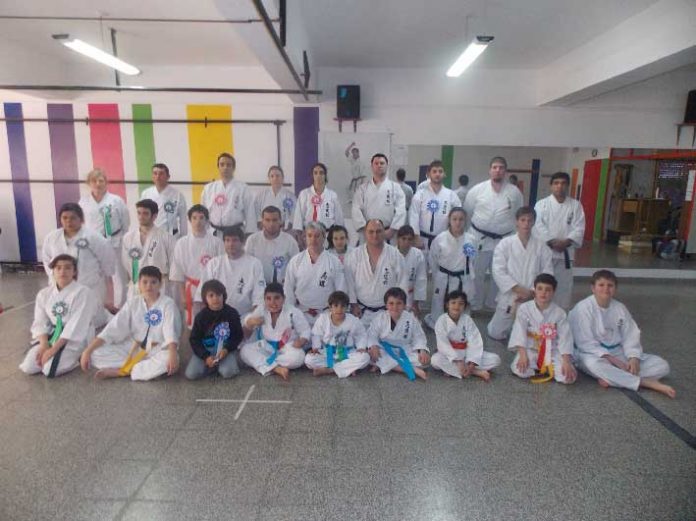 p53 foto 2