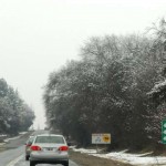 P16-F1 Nieve