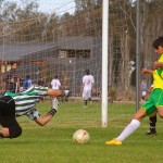 P6 F2 Picado