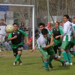 P8 F1 Picado (color)