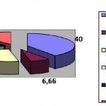 P8 gráfico 2 ocupación