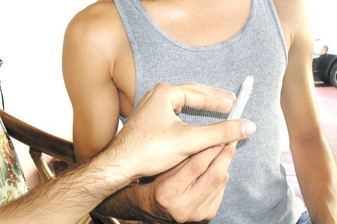 p14f2 manos y porro