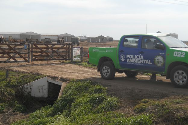 Ambiente clausuró un criadero de cerdos