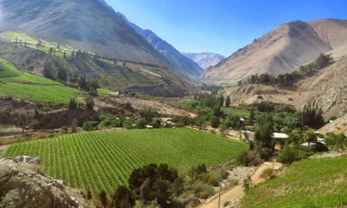p18 - Valle-del-Elqui