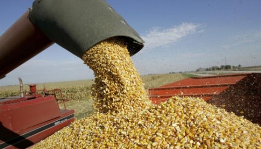 Agricultura en alerta