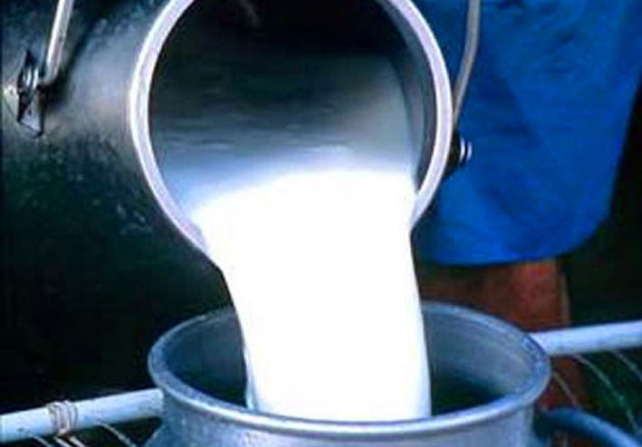 “Mercado lácteo”, un portal para vincular a productor e industria