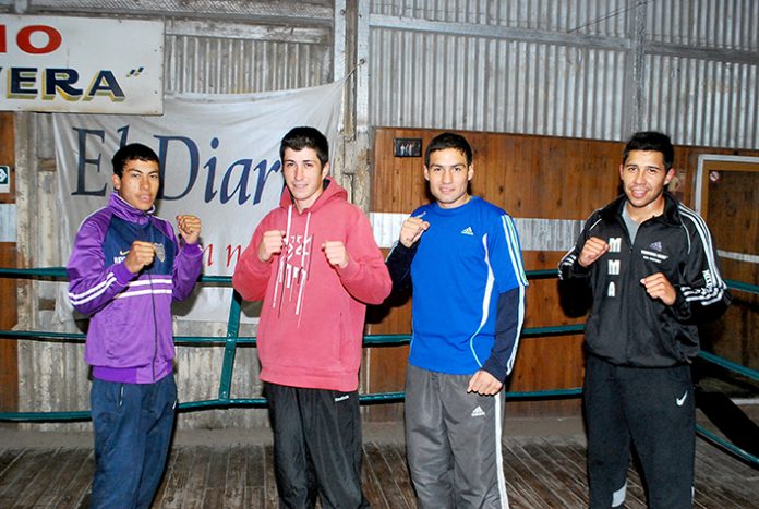P53-F1 Boxeadores (Color)