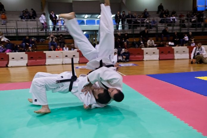judo
