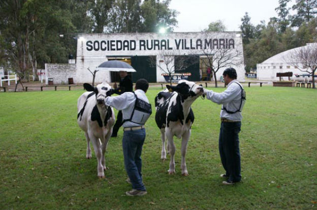 Meny será el futuro titular de la entidad