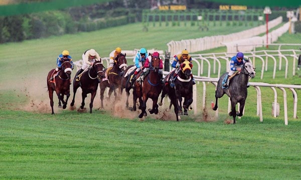 EL DOMINGO – Hipódromo local