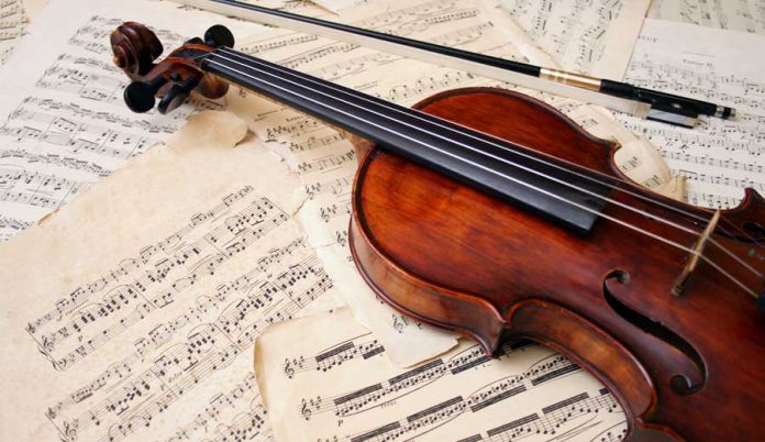 violin