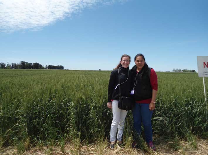 Premian una investigación sobre suelos sódicos