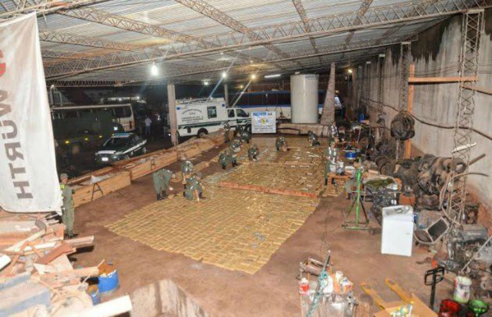 Hallaron 100 plantones de marihuana en la costa del río Hallaron 100 plantones de marihuana en la costa del río