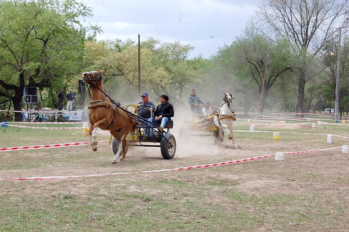 Exitosa nueva edición del Rally de Sulkies Exitosa nueva edición del Rally de Sulkies