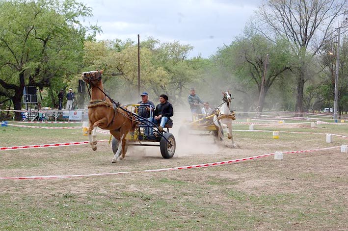 Exitosa nueva edición del Rally de Sulkies