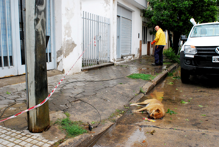 Lo que faltaba… hubo viento y frío