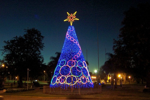 Tío Pujio enciende su árbol de Navidad