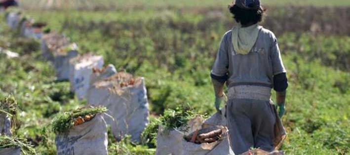 Aún no hay fecha para que UATRE  retome el control del trabajo agrario