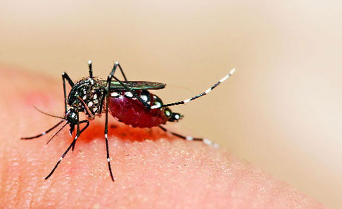 Caso de dengue  en Villa María