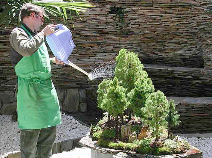 La Escuela de Oficios con nuevas propuestas, entre ellas bonsai