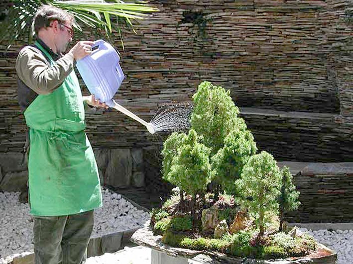 La Escuela de Oficios con nuevas propuestas, entre ellas bonsai La Escuela de Oficios con nuevas propuestas, entre ellas bonsai