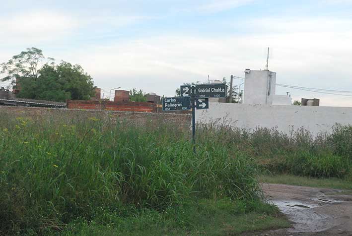 Quejas por yuyos y calles intransitables