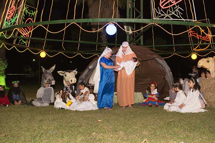 Pesebre y gran árbol