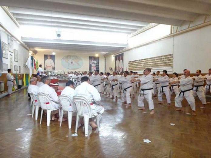 p53 foto 2
