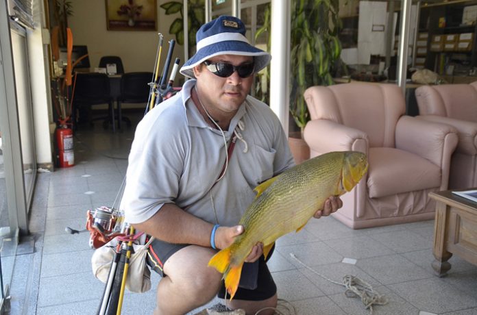 p9 f3 dorado