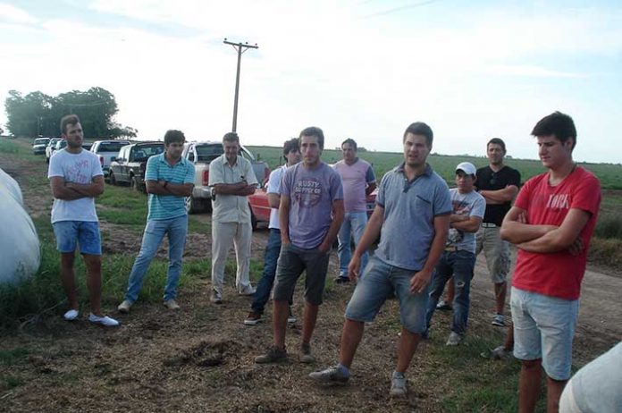 P19 f1 Rural