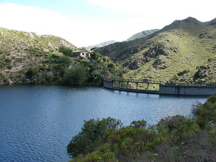 P21-Los Alazanes