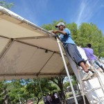 TAPA-Carpa peña