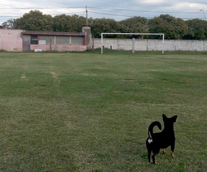 Tapa futbol