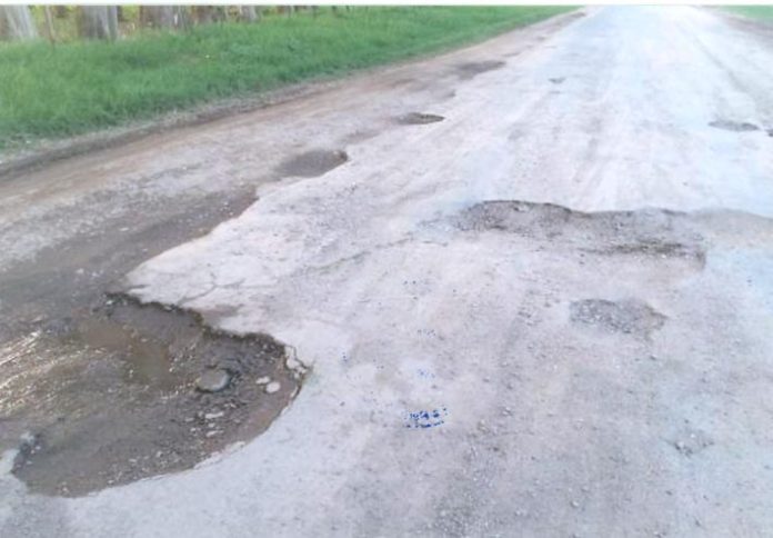p2-f1 Bache