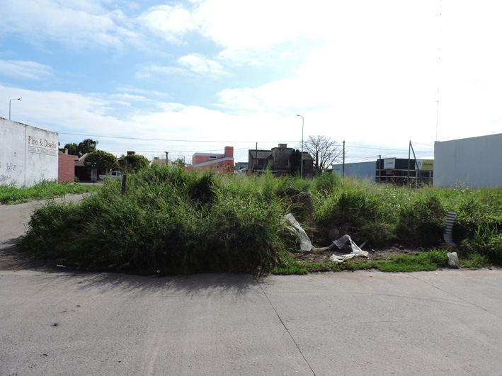 Piden limpieza de un terreno abandonado