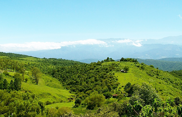 En el Jardín de la República