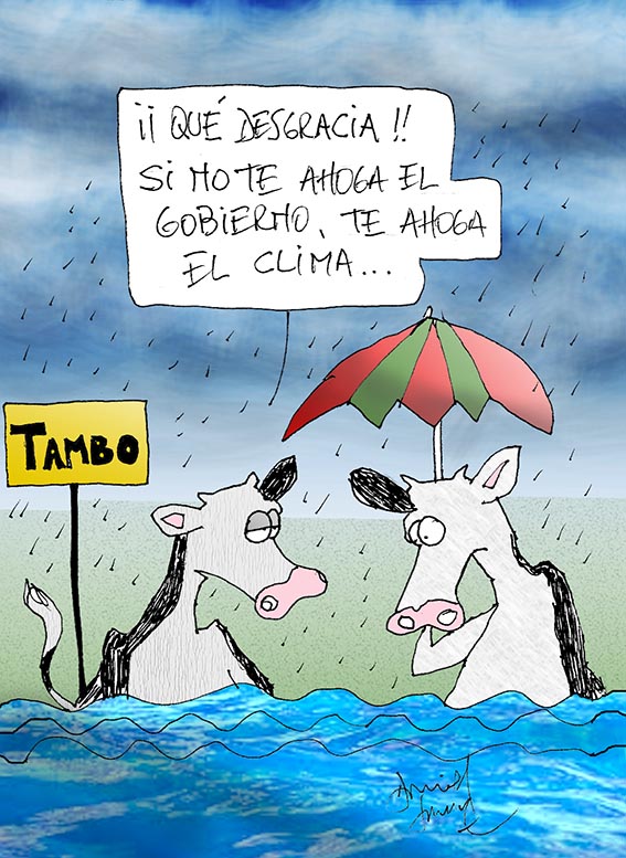 Humor 21/02/2016