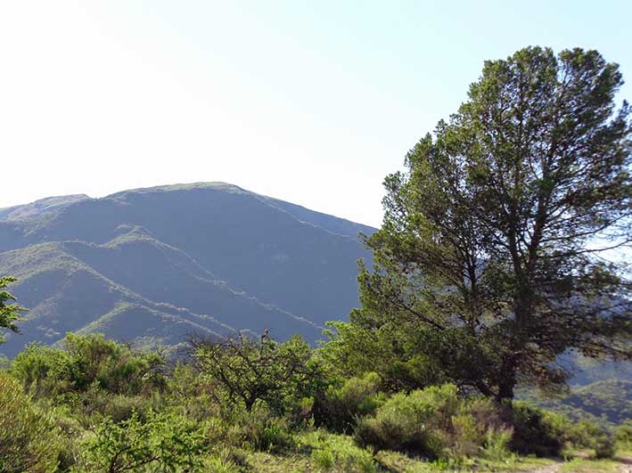 En el corazón de las sierras