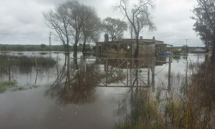 “Pescan mojarras en la avenida”