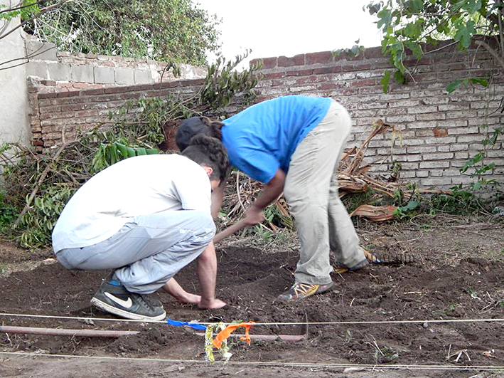 Cada vez son más los que apuestan a tener su propia huerta en casa