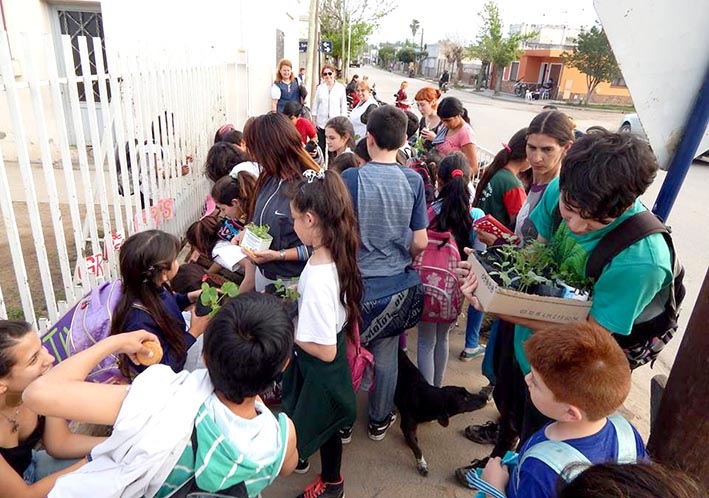 “Cultiva tus alimentos” se fortalece