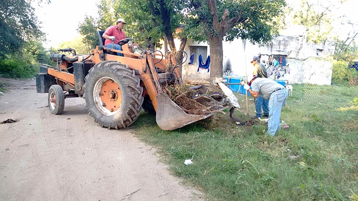 En campaña contra el dengue En campaña contra el dengue