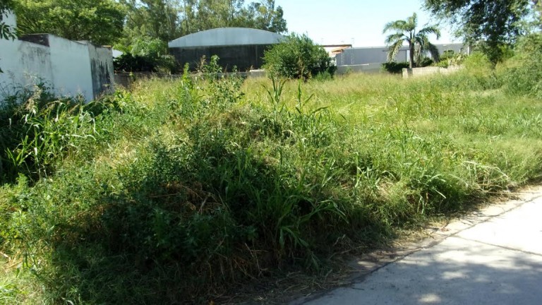 Más quejas por terrenos baldíos