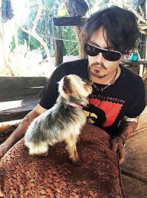 Johnny Depp: Hasta a la Justicia por sus mascotas