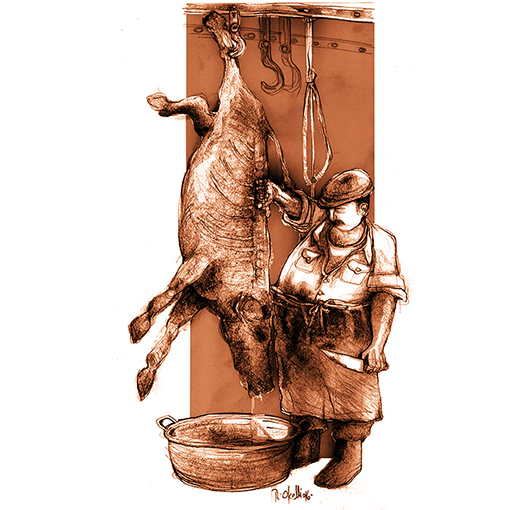Carnes: faenas y comercialización en el inicio de Villa María
