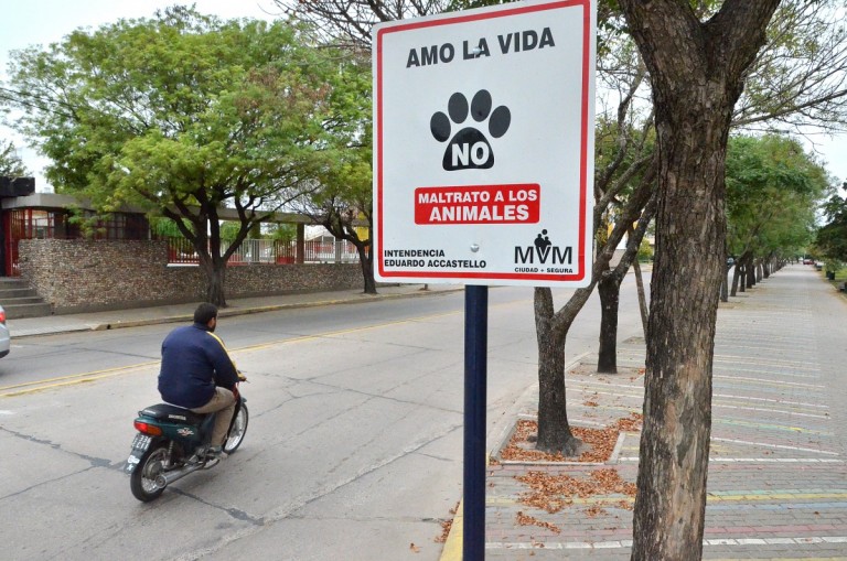 Antesala de la violencia social