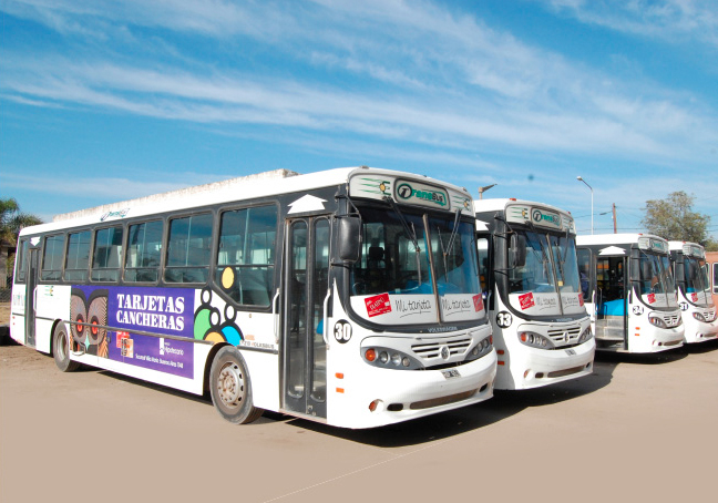 El paro de AOITA se hizo sentir en el transporte urbano local